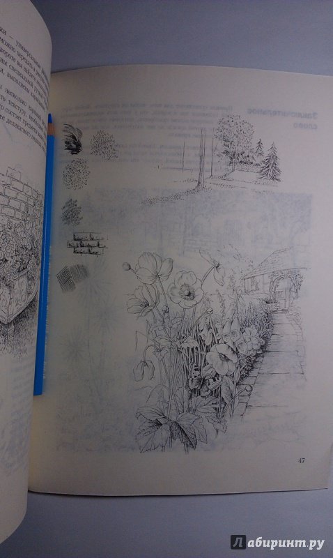 Иллюстрация 42 из 46 для Учитесь рисовать ваш сад - Кэрол Винсер | Лабиринт - книги. Источник: ss0263042