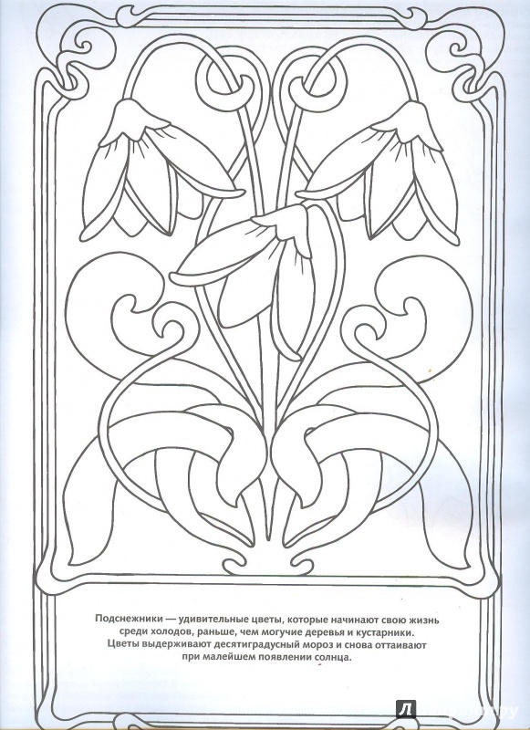 Иллюстрация 3 из 8 для Цветы и бабочки | Лабиринт - книги. Источник: Яровая Ирина