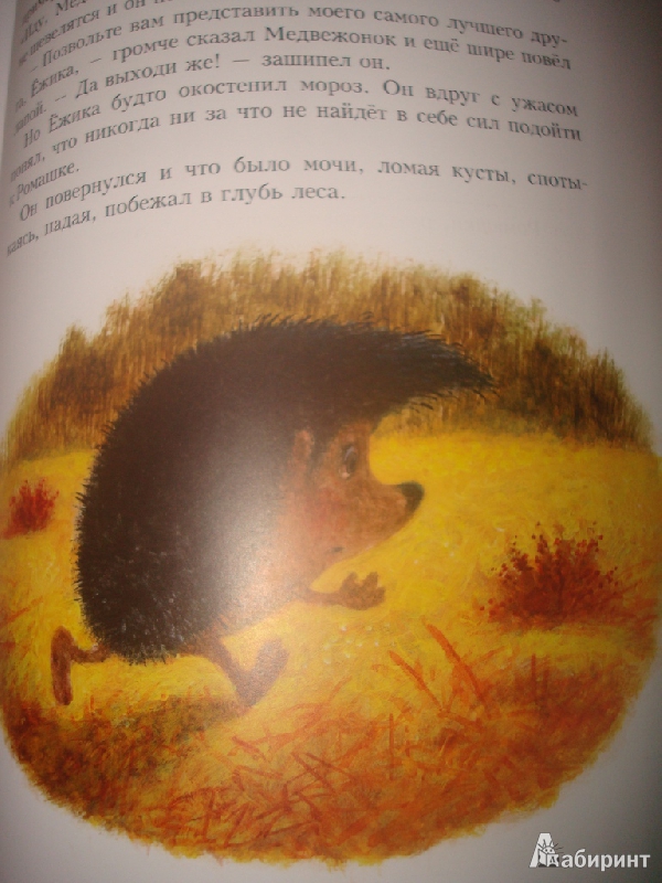 Иллюстрация 3 из 91 для Про Ежика и Медвежонка - Сергей Козлов | Лабиринт - книги. Источник: Лабиринт