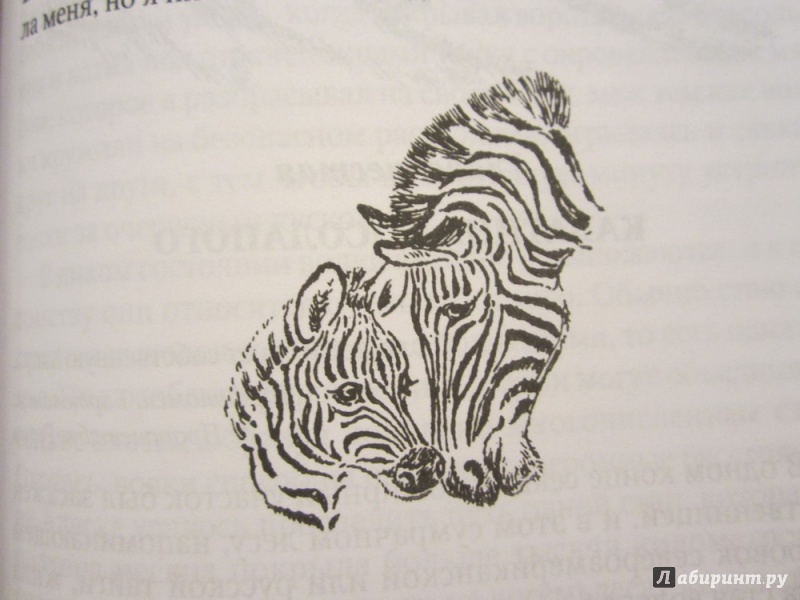 Иллюстрация 14 из 48 для Только звери - Джеральд Даррелл | Лабиринт - книги. Источник: ЮлияО