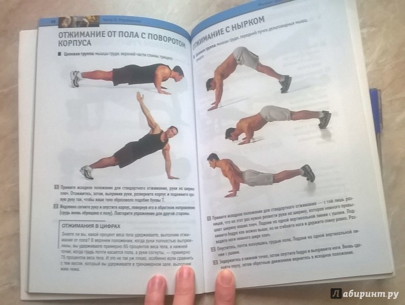 Иллюстрация 19 из 20 для Лучшее от Men's Health. Тренировка без отягощений | Лабиринт - книги. Источник: Светлана