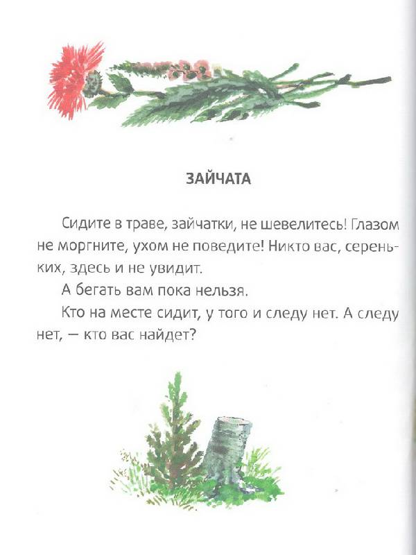 Иллюстрация 29 из 42 для Большие и маленькие - Евгений Чарушин | Лабиринт - книги. Источник: Стрекоза