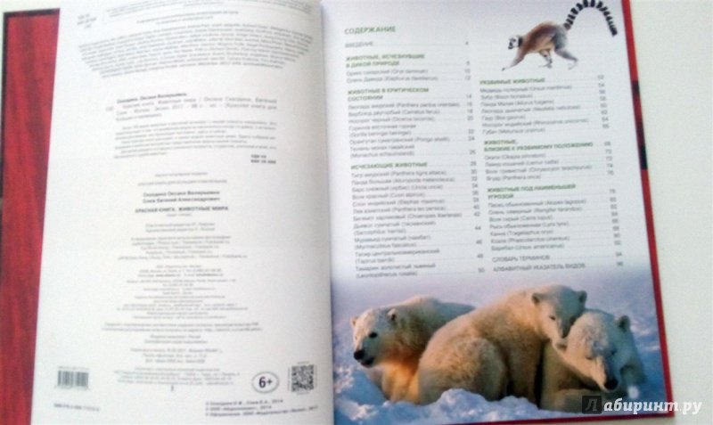 Иллюстрация 24 из 42 для Красная книга. Животные мира - Скалдина, Слиж | Лабиринт - книги. Источник: Selena-Луна