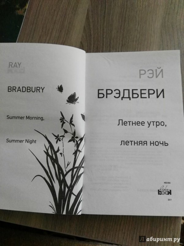 Иллюстрация 3 из 15 для Летнее утро, летняя ночь - Рэй Брэдбери | Лабиринт - книги. Источник: Илья