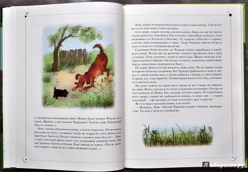 Иллюстрация 33 из 83 для Каникулы кота Егора - Николай Наволочкин | Лабиринт - книги. Источник: Раскова  Юлия