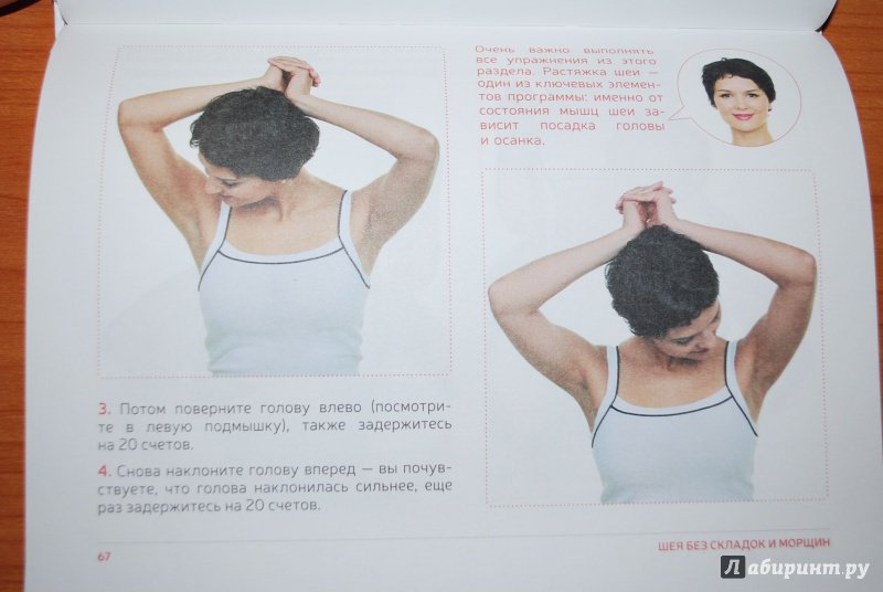 Иллюстрация 29 из 33 для Как избавиться от второго подбородка и восстановить овал лица - Алена Россошинская | Лабиринт - книги. Источник: Нади