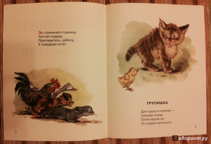 Иллюстрация 9 из 64 для Посмотрите какие котята - Владимир Матвеев | Лабиринт - книги. Источник: Kyu82