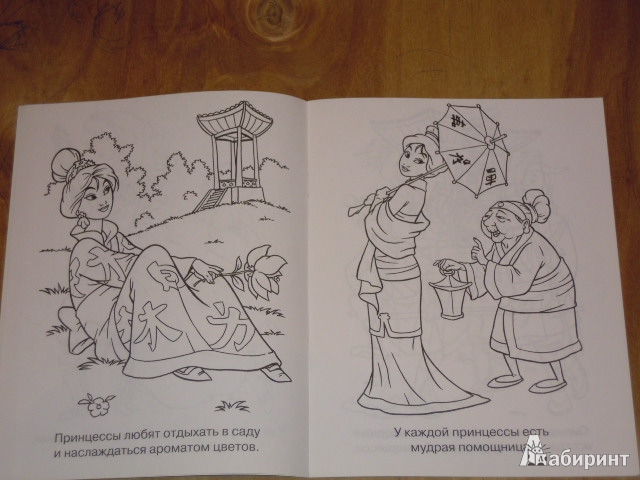 Иллюстрация 2 из 2 для Мир принцесс | Лабиринт - книги. Источник: Iwolga