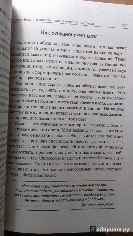 Иллюстрация 5 из 23 для Чудо-вода - Брэгг, Брэгг | Лабиринт - книги. Источник: Юлия