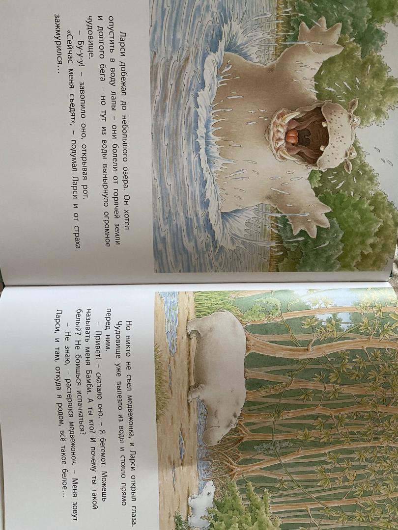 Иллюстрация 40 из 49 для Приключение белого медвежонка - Беер Де | Лабиринт - книги. Источник: Лабиринт