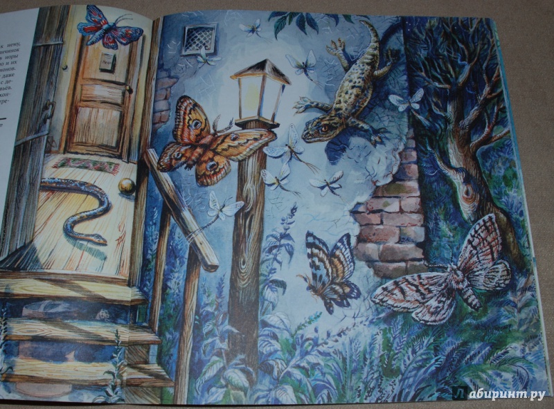 Иллюстрация 19 из 44 для Рептилии - Николай Сладков | Лабиринт - книги. Источник: Книжный кот