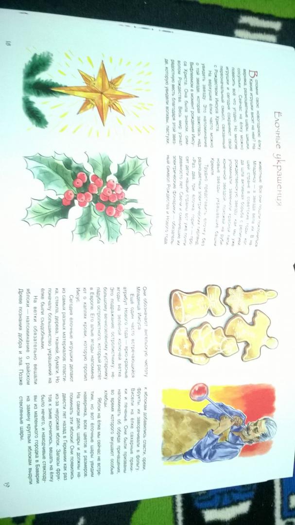 Иллюстрация 38 из 54 для История Новогодней елки - Анна Рапопорт | Лабиринт - книги. Источник: Солнышко Светка