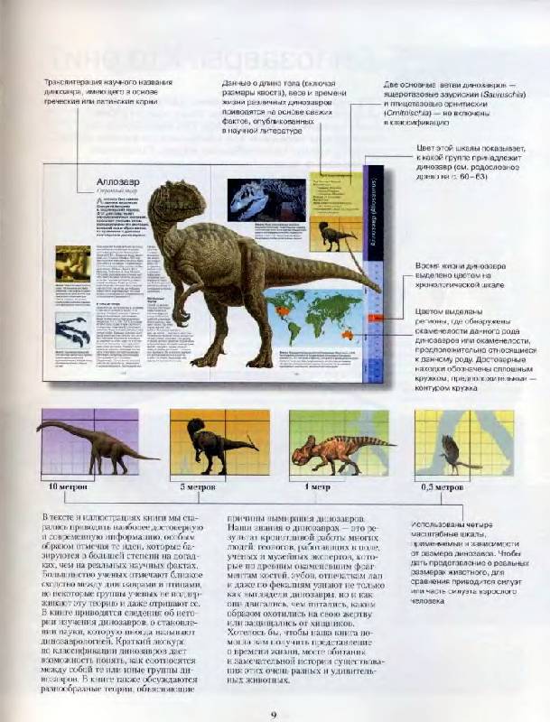 Иллюстрация 18 из 32 для Большая энциклопедия динозавров - Баррет, Санс | Лабиринт - книги. Источник: Спанч Боб