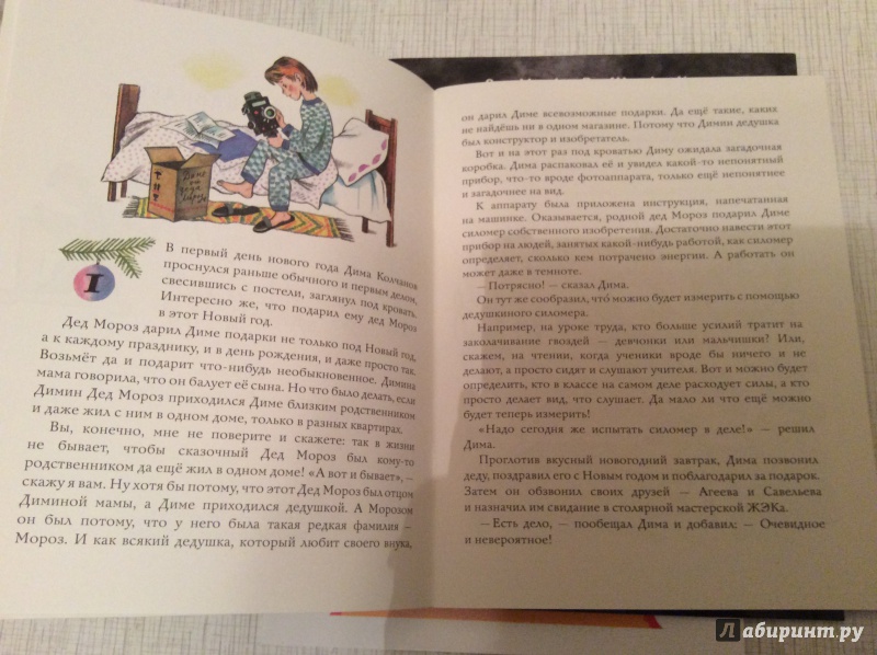 Иллюстрация 10 из 43 для Димин Дед Мороз - Валерий Медведев | Лабиринт - книги. Источник: ilinkova