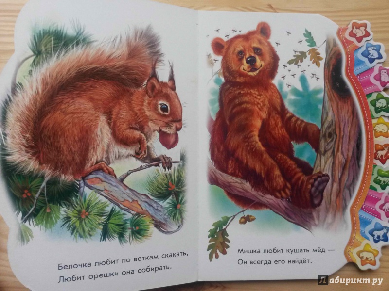 Иллюстрация 5 из 35 для В лесу - Олеся Квитка | Лабиринт - книги. Источник: Петрашова  Мария