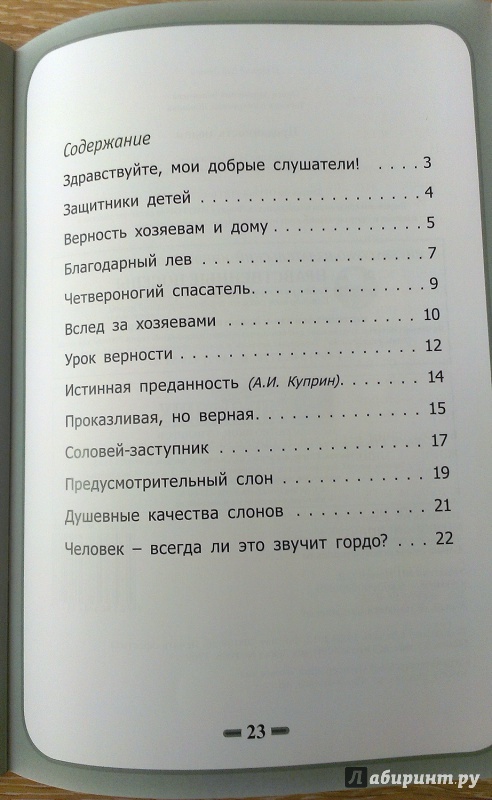 Иллюстрация 29 из 29 для Преданность людям - Белевцева, Жданова | Лабиринт - книги. Источник: AnnaBel