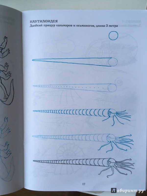 Иллюстрация 9 из 12 для Рисуем 50 динозавров и других доисторических животных - Ли Эймис | Лабиринт - книги. Источник: meinspiel