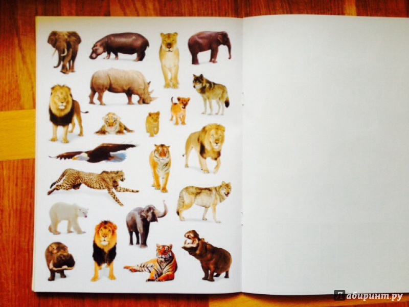 Иллюстрация 13 из 44 для Дикие животные. Наклеивай и учись | Лабиринт - книги. Источник: olkahn