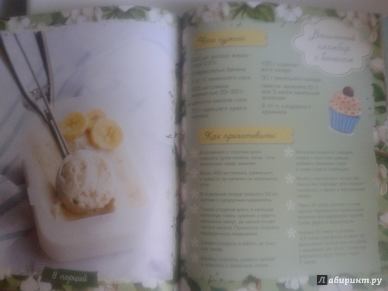 Иллюстрация 3 из 20 для Домашнее мороженое - Савинова, Жук | Лабиринт - книги. Источник: христина ухова