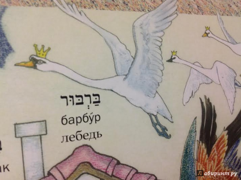 Иллюстрация 11 из 30 для Еврейская азбука в картинках - Ирена Бат-Цви | Лабиринт - книги. Источник: Sage Tea