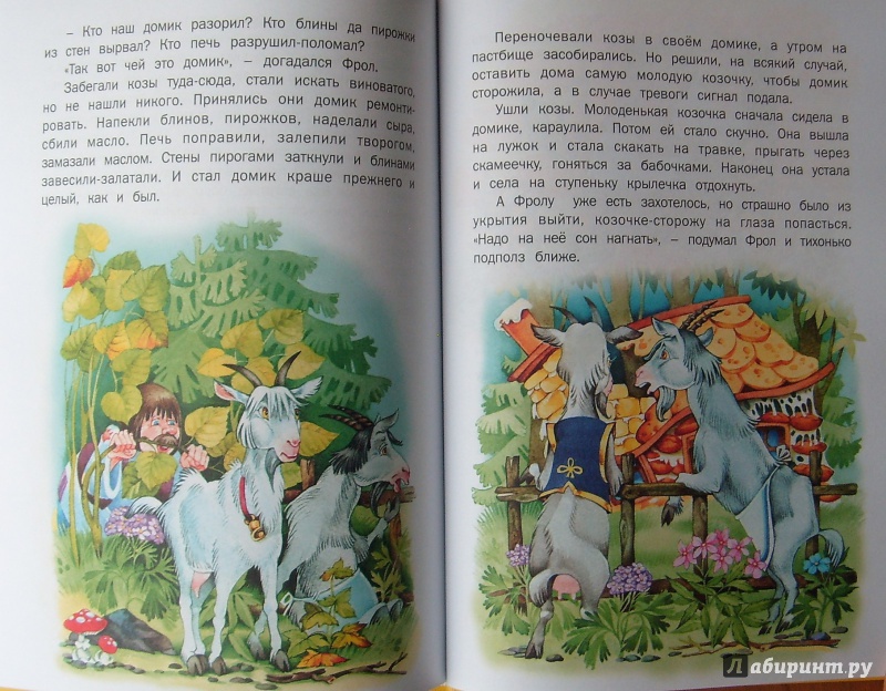 Иллюстрация 26 из 31 для Сказочный домик | Лабиринт - книги. Источник: Александр Сколдин