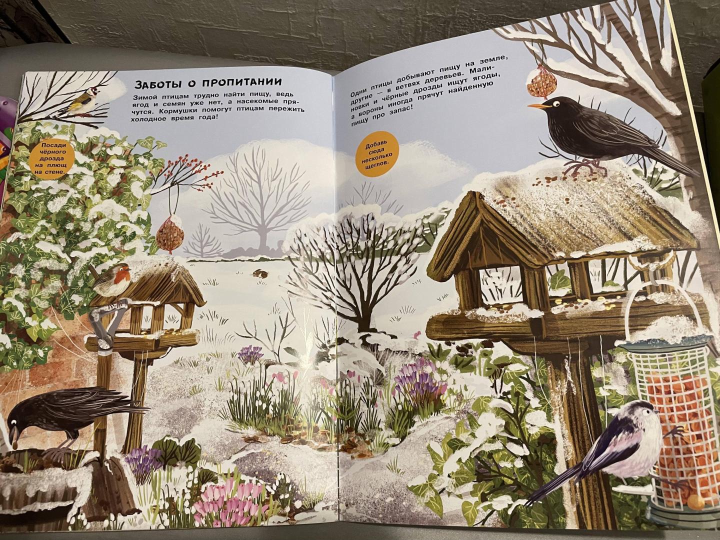 Иллюстрация 25 из 32 для Малиновки, синицы и другие птицы | Лабиринт - книги. Источник: Лабиринт