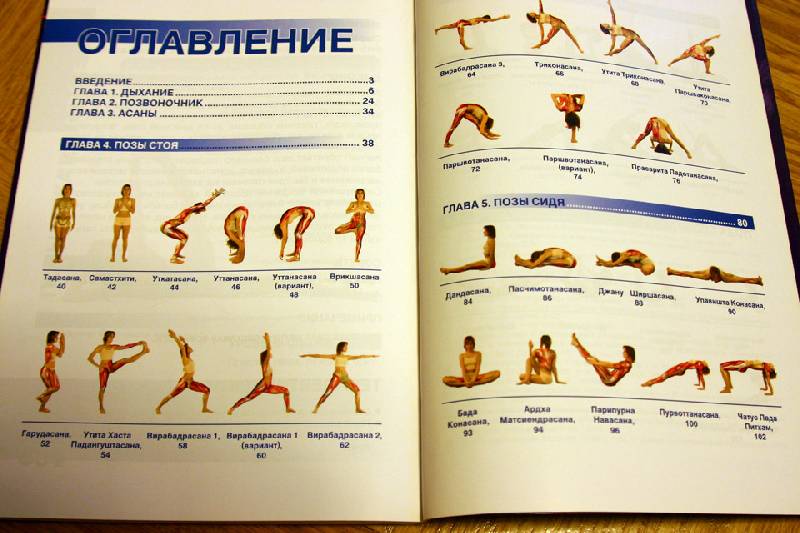 Иллюстрация 7 из 13 для Анатомия йоги - Белый, Белая | Лабиринт - книги. Источник: Иванна