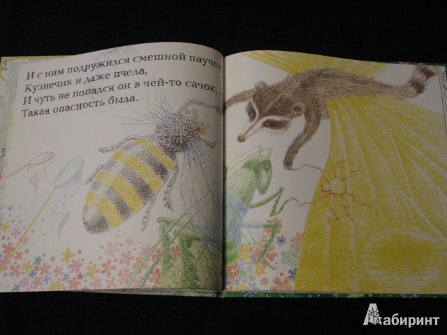 Иллюстрация 24 из 31 для Енот и бабочка - Александр Коняшов | Лабиринт - книги. Источник: Nemertona