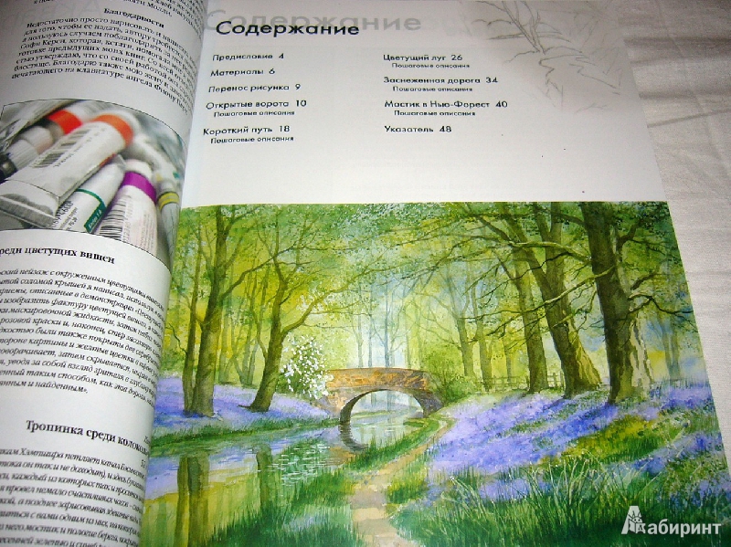 Иллюстрация 4 из 14 для Рисуем по схемам: Сельские пейзажи: Акварель №23 - Терри Харрисон | Лабиринт - книги. Источник: Lilac