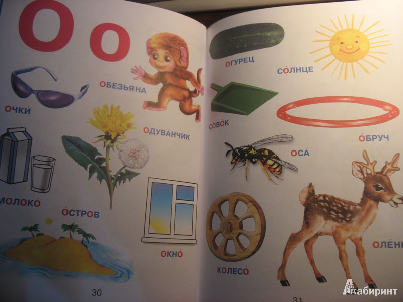 Иллюстрация 25 из 29 для Азбука для самых маленьких: для дошкольного возраста - Елена Чайка | Лабиринт - книги. Источник: Irinusya