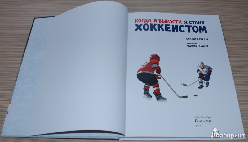 Иллюстрация 22 из 38 для Когда я вырасту, я стану хоккеистом - Михаил Санадзе | Лабиринт - книги. Источник: Штерн  Яна