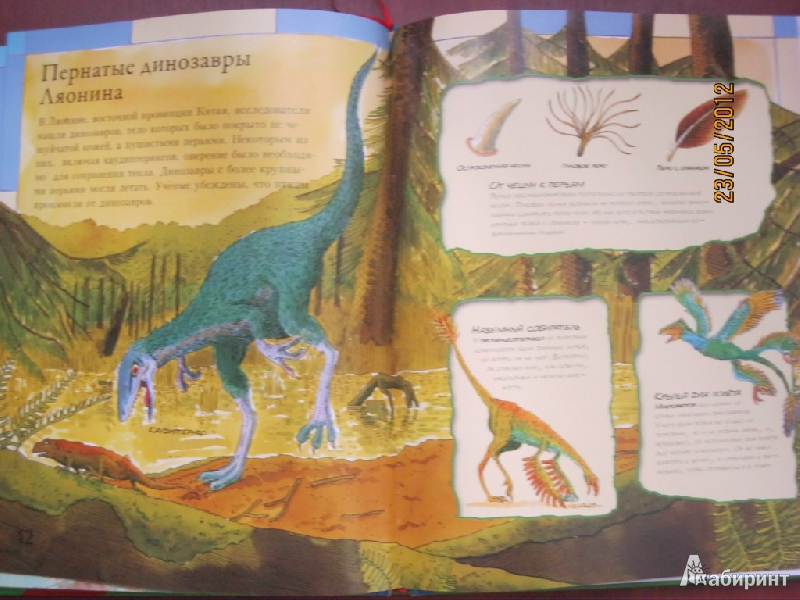 Иллюстрация 13 из 17 для Детский атлас динозавров - Дэвид Бурнье | Лабиринт - книги. Источник: Гилева  Любовь Валерьевна