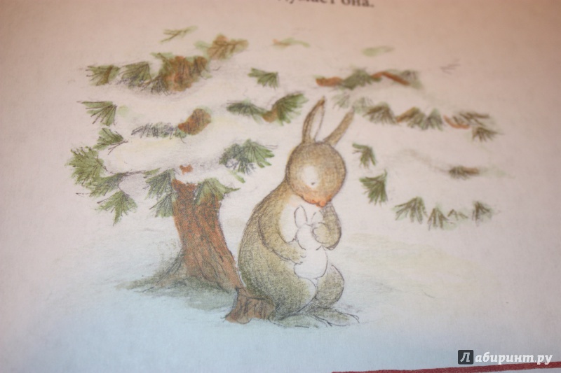 Иллюстрация 43 из 58 для Рождество в лесу - Ульф Старк | Лабиринт - книги. Источник: Bradbury