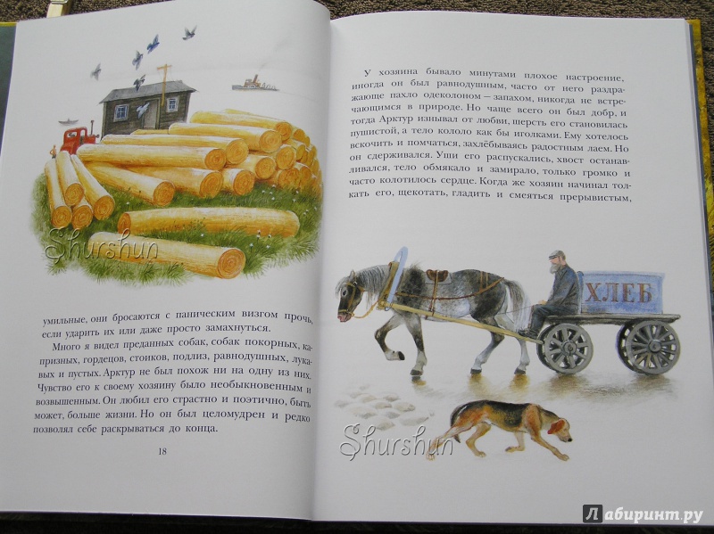Иллюстрация 43 из 46 для Арктур - гончий пёс - Юрий Казаков | Лабиринт - книги. Источник: Shurshun