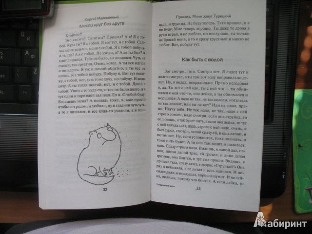 Иллюстрация 12 из 12 для Мартовские коты | Лабиринт - книги. Источник: Рубцова  Ольга