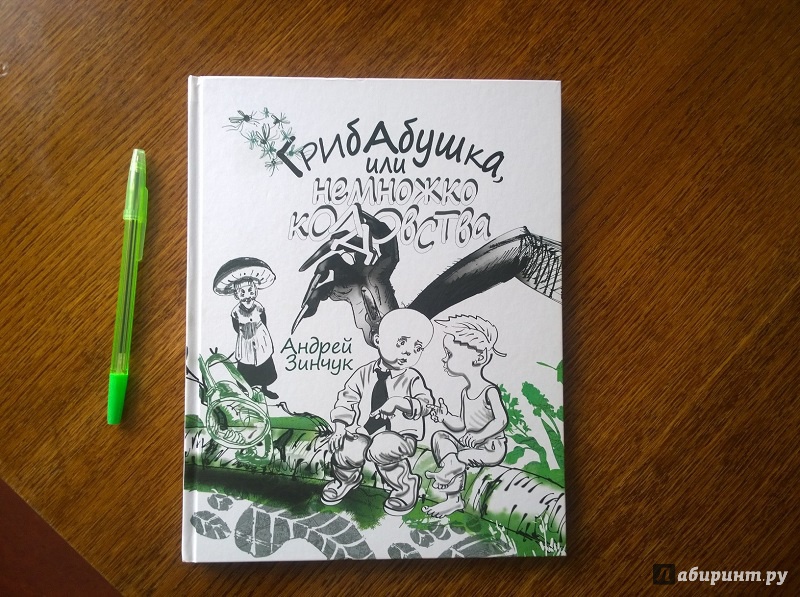 Иллюстрация 16 из 25 для Грибабушка, или Немножко колдовства - Андрей Зинчук | Лабиринт - книги. Источник: jacaranda
