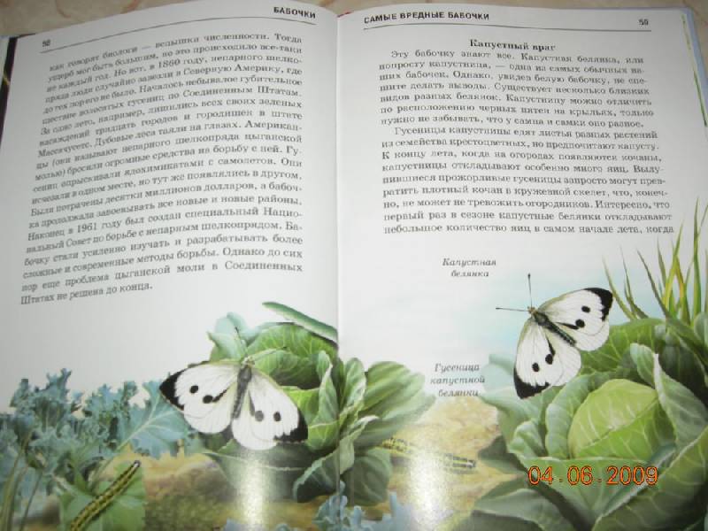 Иллюстрация 24 из 29 для Бабочки - Юлия Дунаева | Лабиринт - книги. Источник: Соловей