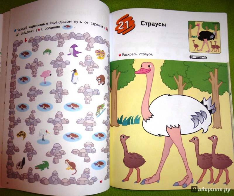 Иллюстрация 31 из 51 для KUMON. Учимся раскрашивать. В зоопарке - Тору Кумон | Лабиринт - книги. Источник: reader*s
