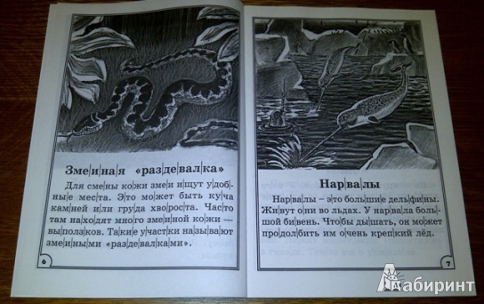 Иллюстрация 4 из 13 для 100 познавательных текстов для обучения детей чтению - Узорова, Нефедова | Лабиринт - книги. Источник: Svetlana Gavrilova