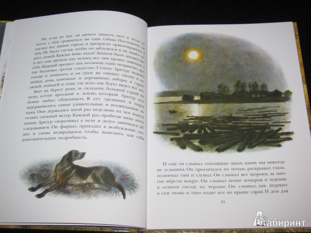 Иллюстрация 19 из 46 для Арктур - гончий пёс - Юрий Казаков | Лабиринт - книги. Источник: Nemertona