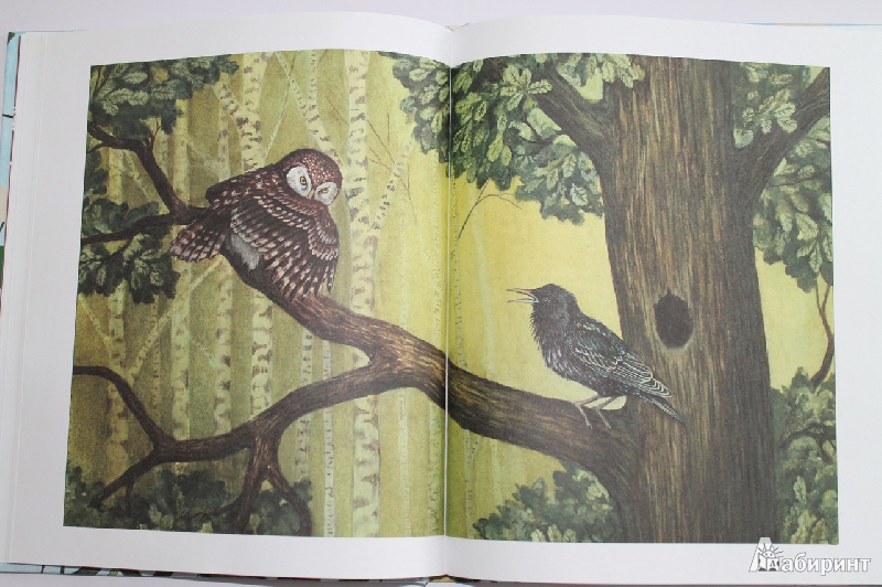 Иллюстрация 11 из 49 для Лесные разведчики - Виталий Бианки | Лабиринт - книги. Источник: Elena