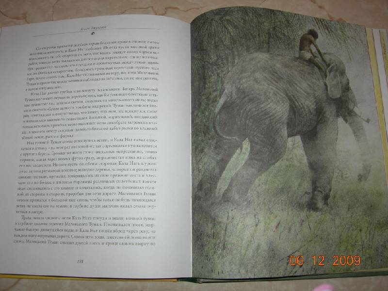 Иллюстрация 153 из 164 для Книга джунглей - Редьярд Киплинг | Лабиринт - книги. Источник: Соловей