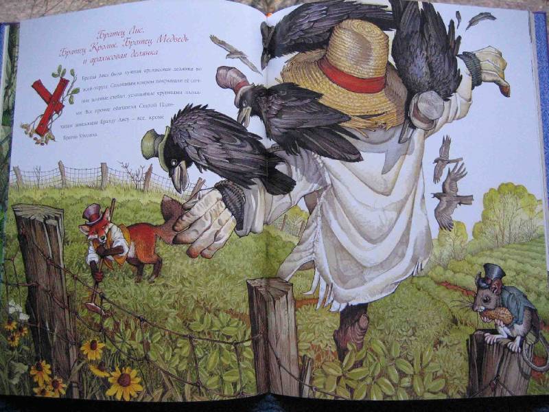 Иллюстрация 5 из 28 для Классическая коллекция сказок | Лабиринт - книги. Источник: Трухина Ирина