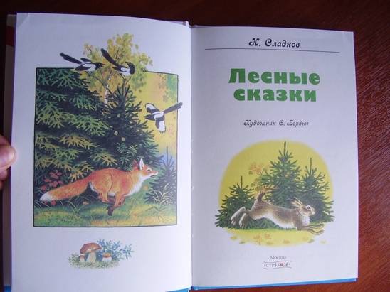 Иллюстрация 3 из 10 для Лесные сказки - Николай Сладков | Лабиринт - книги. Источник: kristal