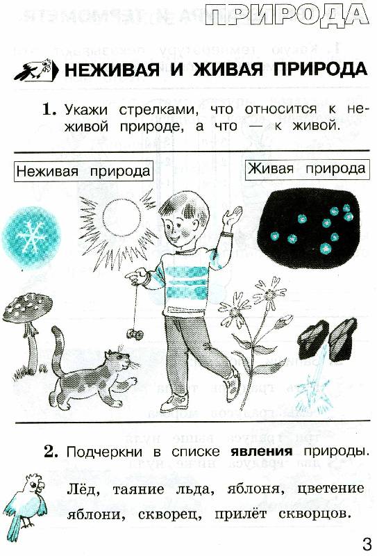 Иллюстрация 2 из 4 для Окружающий мир. Проверим себя. Тетрадь для учащихся 2 класса начальной школы - Андрей Плешаков | Лабиринт - книги. Источник: Rin@