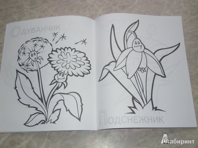 Иллюстрация 9 из 13 для Забавные полевые цветы | Лабиринт - книги. Источник: Iwolga