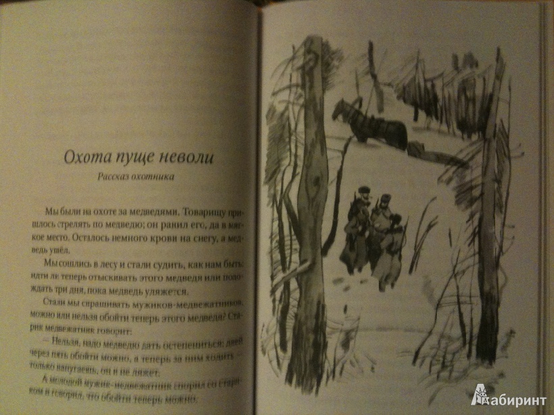 Иллюстрация 10 из 13 для Булька - Лев Толстой | Лабиринт - книги. Источник: tatyanaK