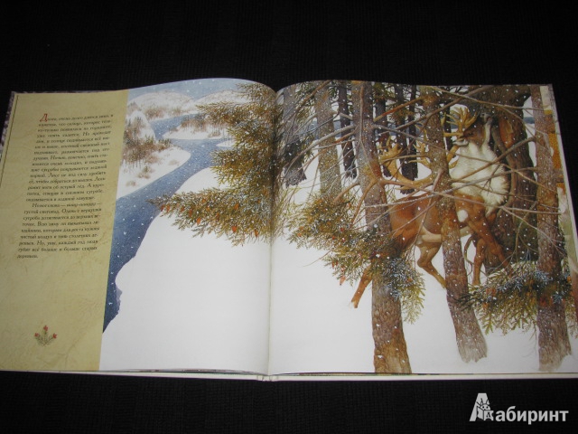 Иллюстрация 56 из 70 для Жизнь в тайге - Бренда Гиберсон | Лабиринт - книги. Источник: Nemertona