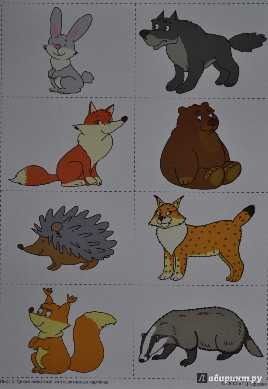 Иллюстрация 9 из 24 для Дикие животные. Интерактивные карточки - Елена Косинова | Лабиринт - книги. Источник: NDusha