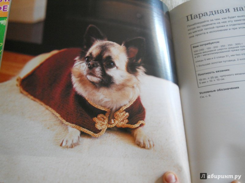 Иллюстрация 10 из 17 для Пальто, кардиганы свитера. Стильная одежда для собак - Анна Тильман | Лабиринт - книги. Источник: kosolapiki